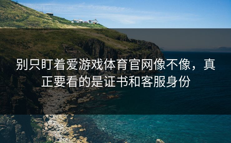 别只盯着爱游戏体育官网像不像，真正要看的是证书和客服身份
